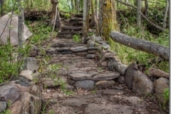 Tinker's Camp Pathway