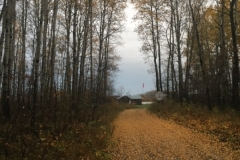 Tinker's Camp Road in Fall
